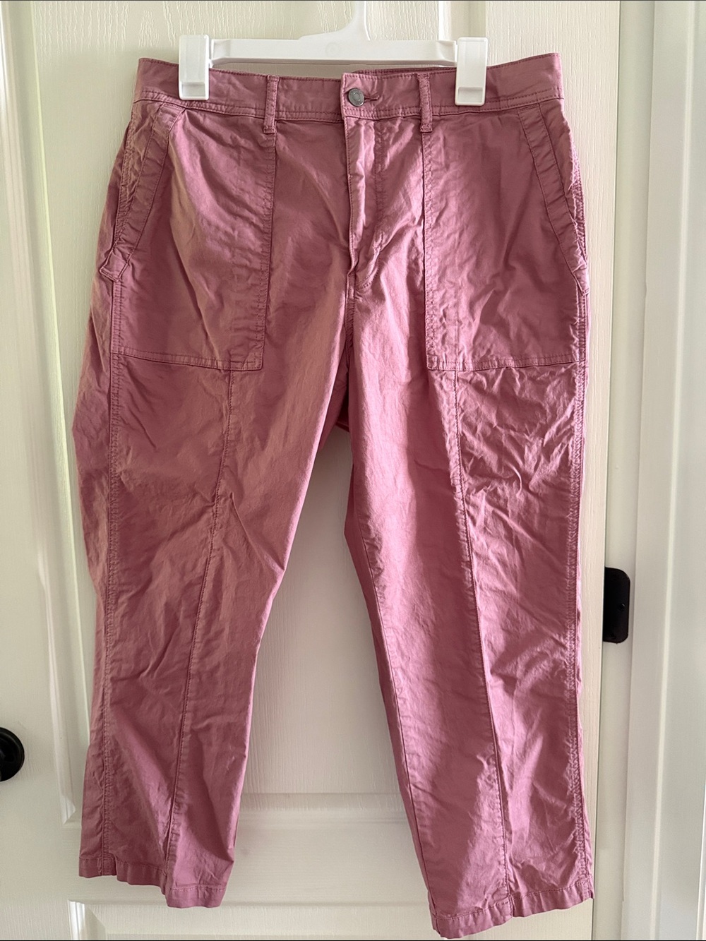 pistola Men's Cargo Pants in Dusty Rose